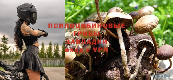 круглые Белокуриха