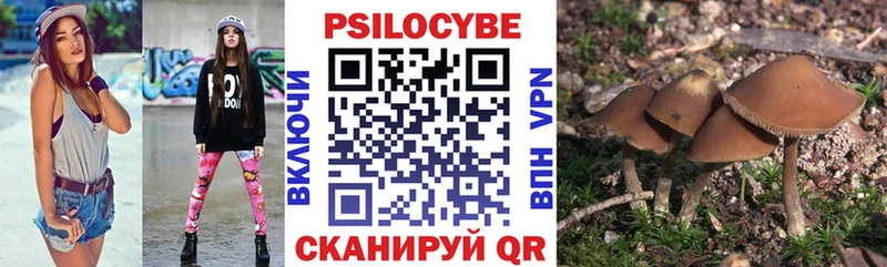 Галлюциногенные грибы Psilocybe  где купить   Жигулёвск 
